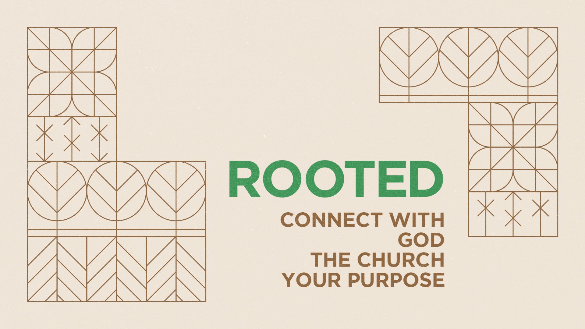 Houston's First Series: Rooted