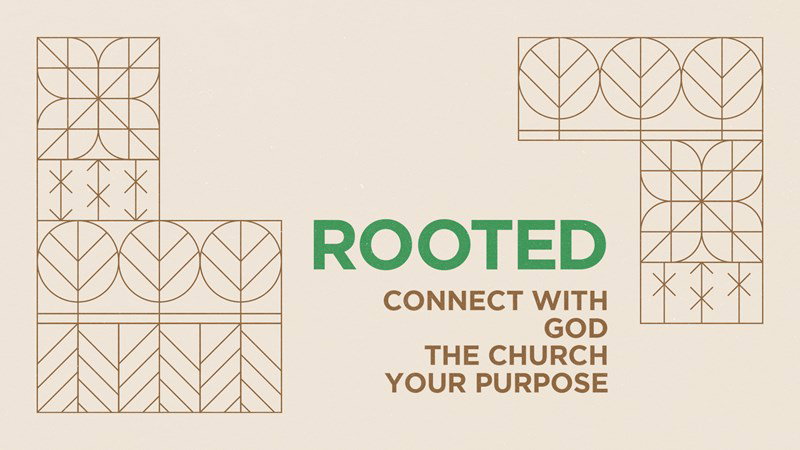 SVCC Series Artwork: Rooted